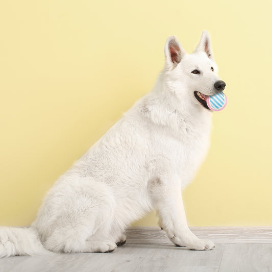 ユーゴー 犬用おもちゃ テニスボール(3個セット)