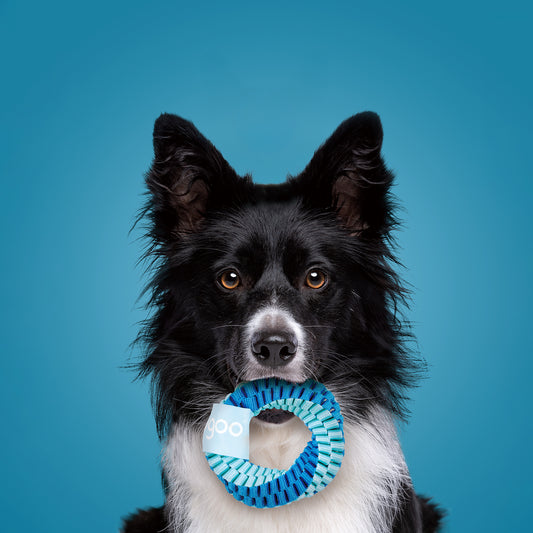 ユーゴー 犬用おもちゃ ツイストリング