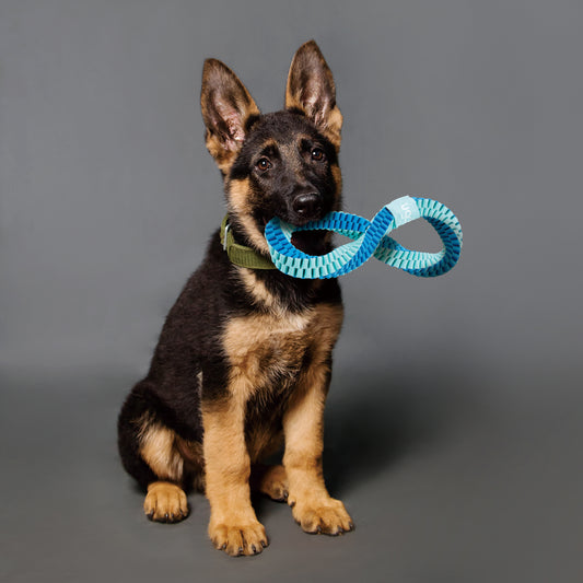 ユーゴー 犬用おもちゃ ツイストインフィニティ-