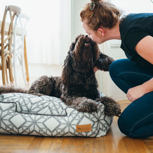 プレイ ラウンジベッド(オリジナルコレクション) ソルスティス(シルバー)