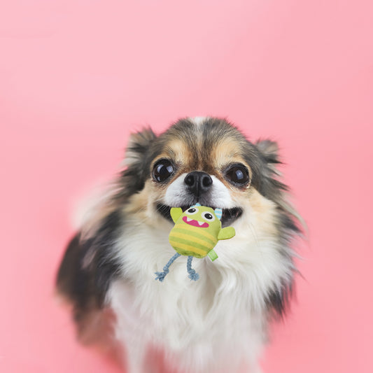 ループ 犬用おもちゃ スモル カラフルモンスター ライムグリーン