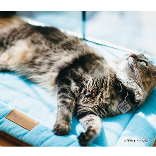 チルパッド イメージ画像