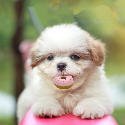 ループ 犬用おもちゃ プーピーズ ドーナツ