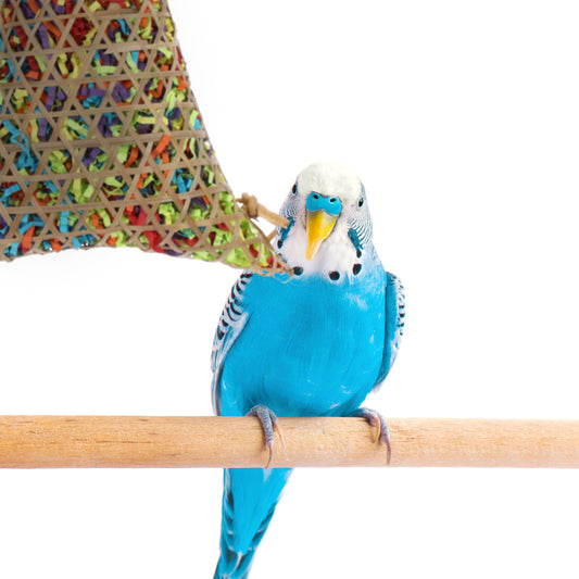 ループ バディ バンブーバスケット