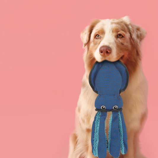 ユーゴー 犬用おもちゃ カラフルスクイッド🦑