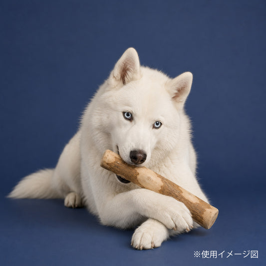 ループ 犬用おもちゃ カフェウッド チャンプ