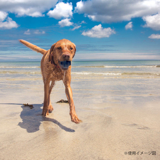 ループ 犬用おもちゃ ハウンズプラス リーケッジボール