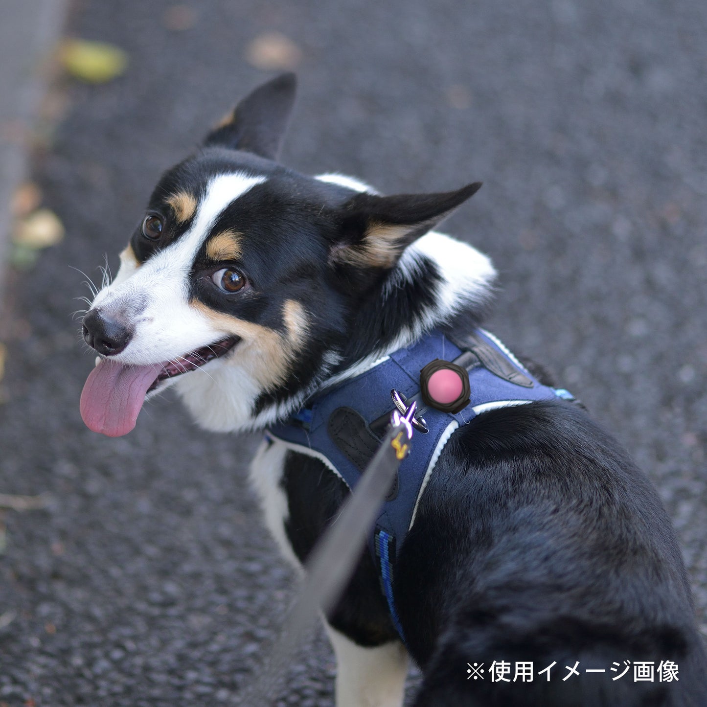 ループセイフ ルーセントLED