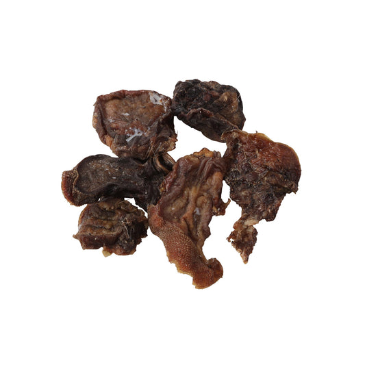 ナチュラルグレイス エゾシカ タン 20g