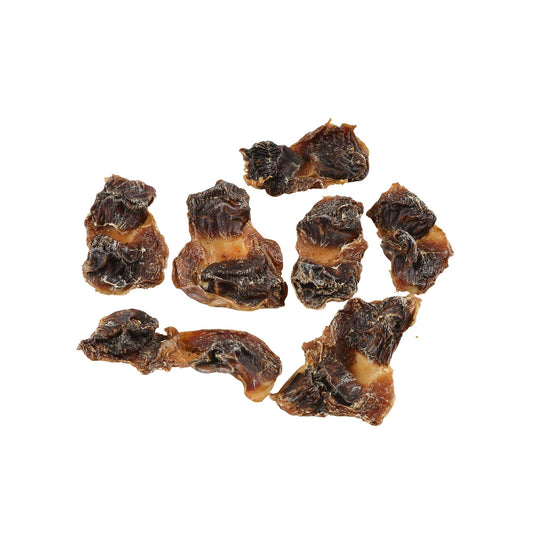 ナチュラルグレイス 鶏砂肝 40g