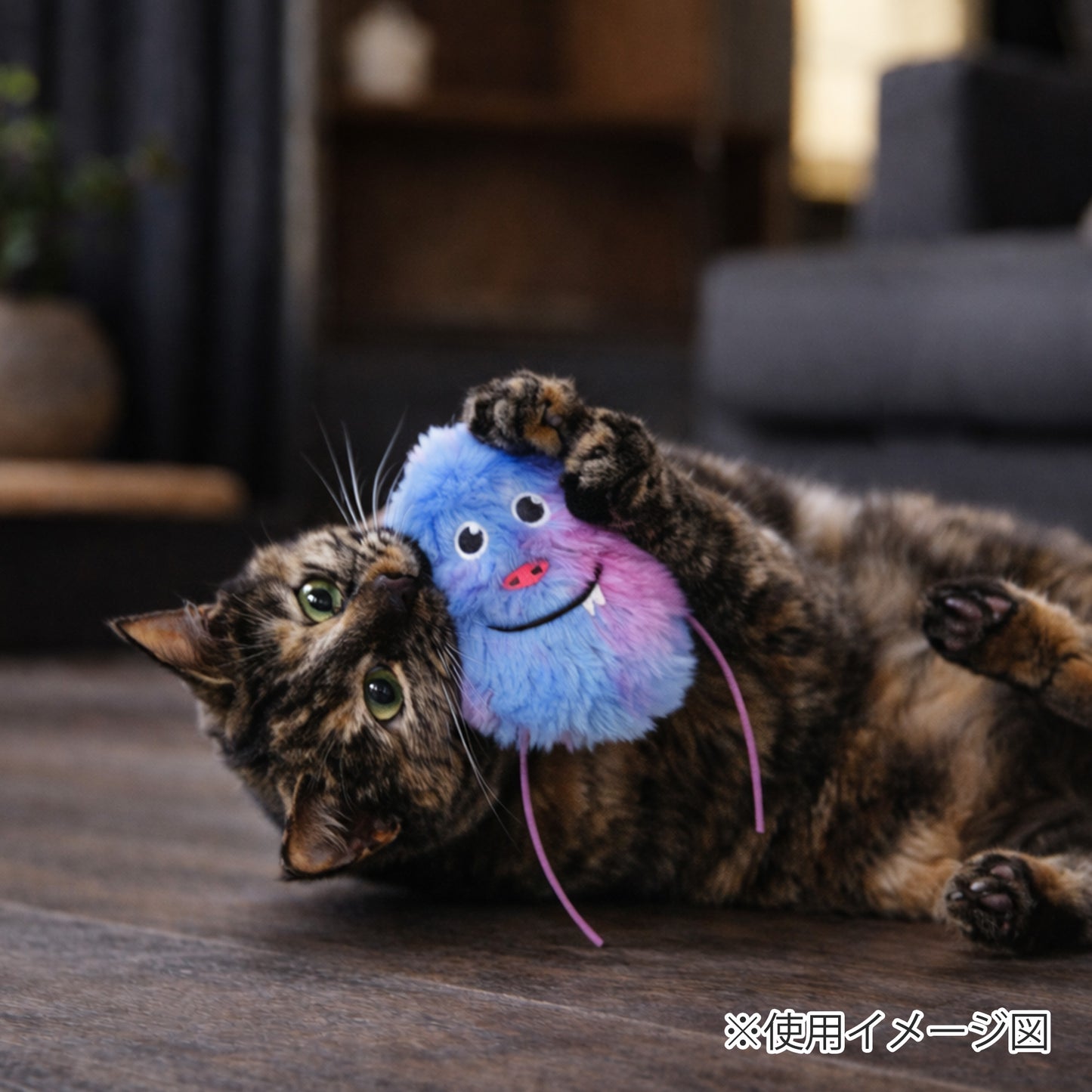 ループ 猫用おもちゃ ファニーズ ホーミー