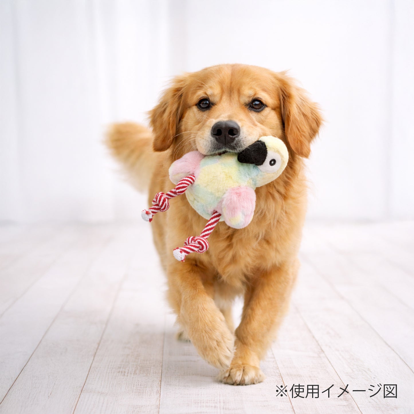 ループ 犬用おもちゃ フレンディ パロット