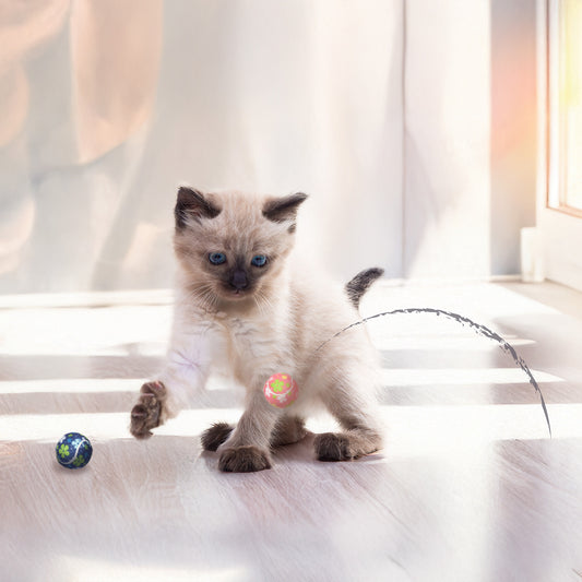 ループ 猫用おもちゃ ライト フラワーボール