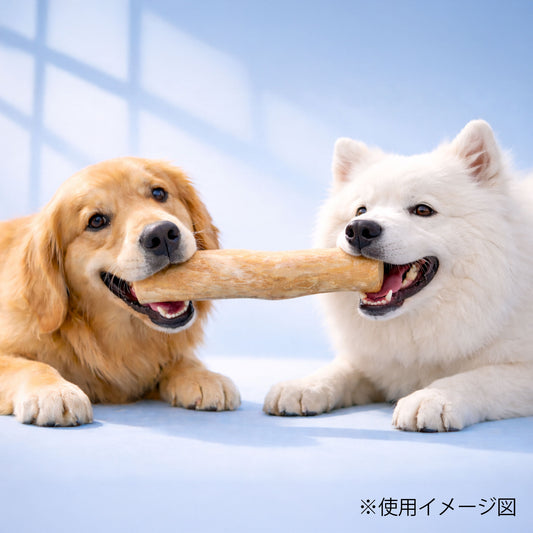 ループ 犬用おもちゃ カフェウッド チャンプ