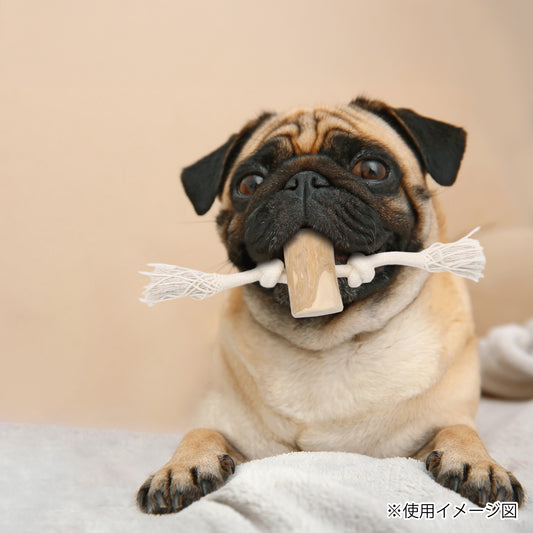 ループ 犬用おもちゃ カフェウッド コットンタグ