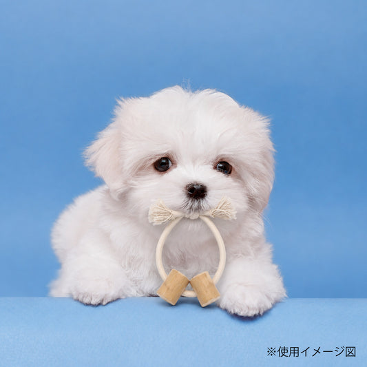 ループ 犬用おもちゃ カフェウッド コットンリング S
