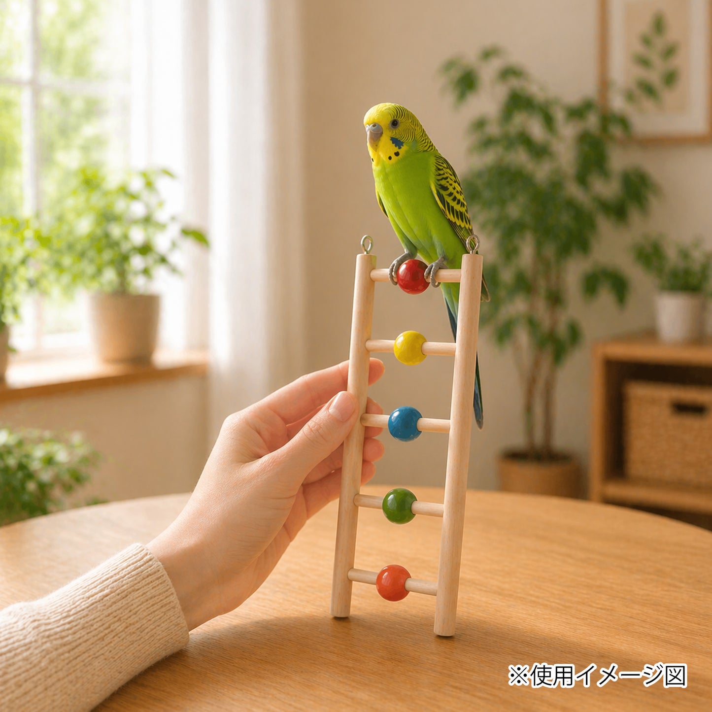 ループ バディ ビーズラダー5