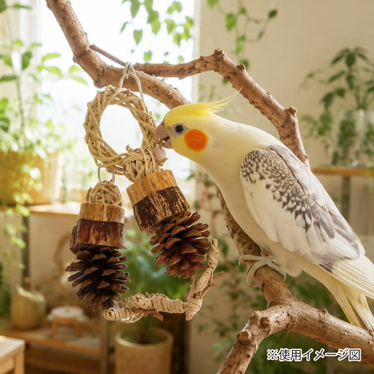 ループ バディ フォレストリング