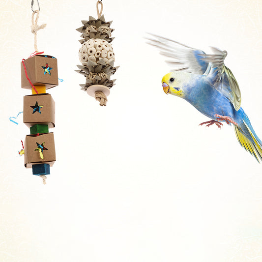 ループ バディ ミステリーボール