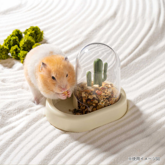 ミオファン カクタスフィーダー イエロー