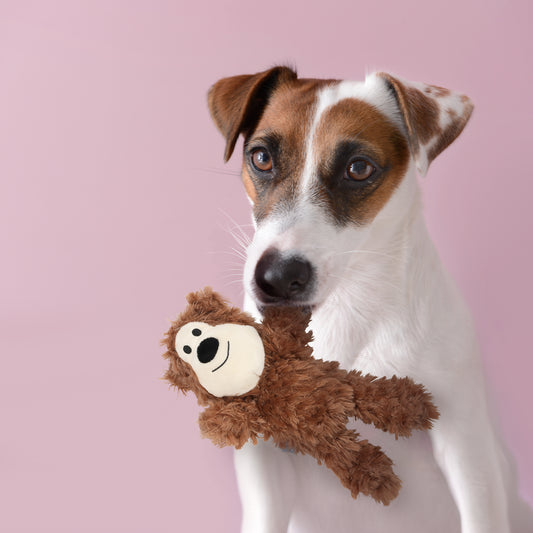 ユーゴー 犬用おもちゃ ジャングルベアー