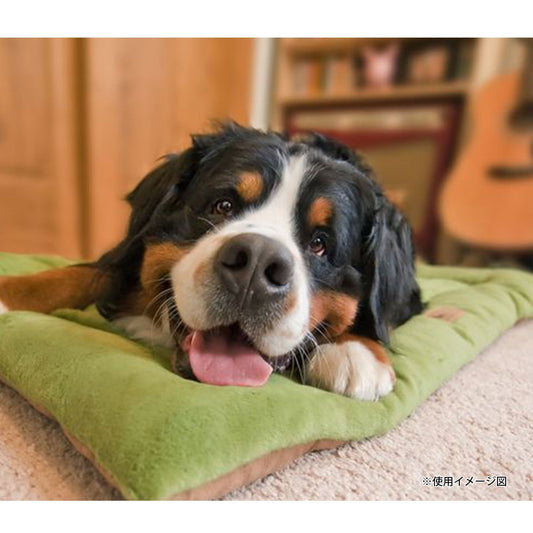 チルパッド イメージ画像