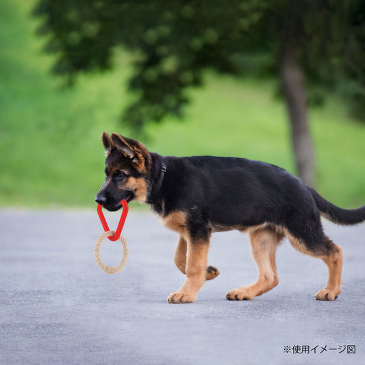 ループ 犬用おもちゃ ハウンズプラス トライアングル S
