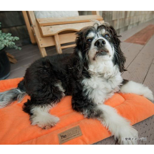 チルパッド イメージ画像