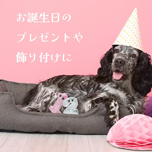 ループスモル ナンバーズ
