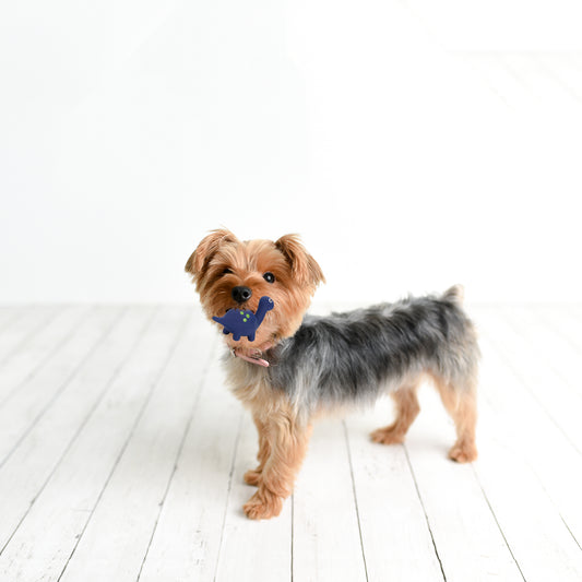 ループ 犬用おもちゃ プーピーズ ネッシー