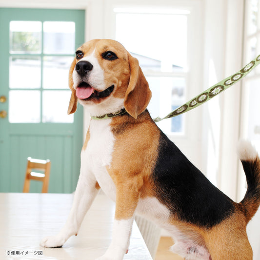 レマタンコカン 犬用リード キウイ(M)