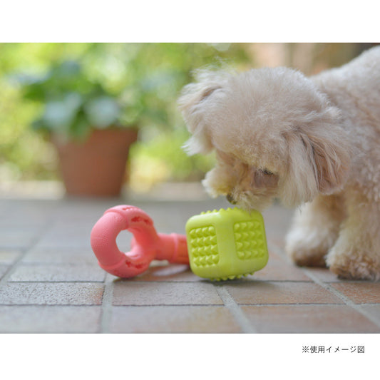 ループ 犬用おもちゃ ハウンズ キューブ