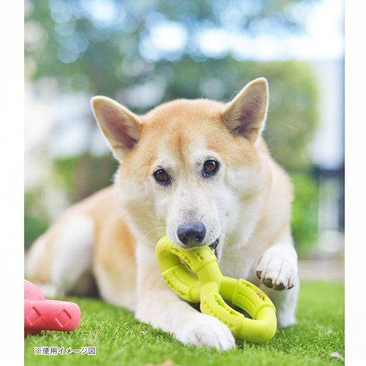 ループ 犬用おもちゃ ハウンズ ツイスト