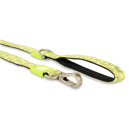 マックスアンドモーリー 犬用リード キウイ🥝