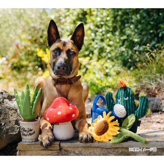 プレイ 犬用おもちゃ ブルーミングバディーズ