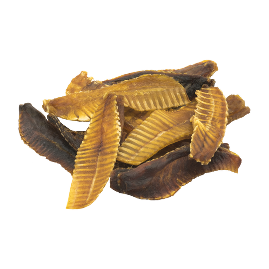 ボクボク サメトロ軟骨