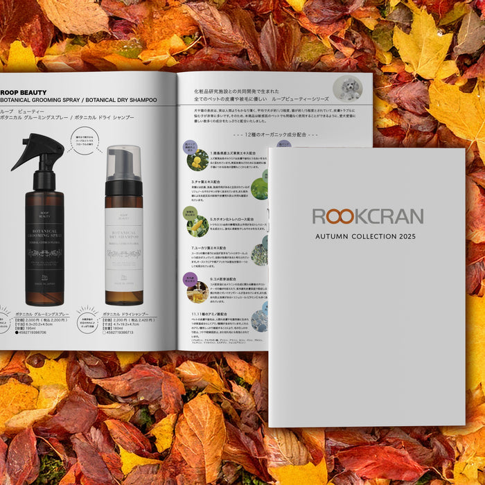 2025 Autumn Collection