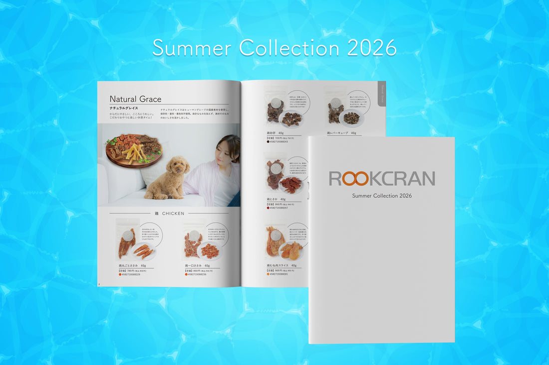 2026 Summer Collection