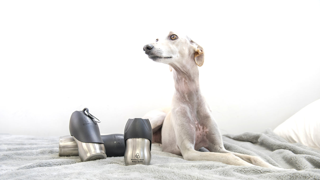 【公式サイト】犬用ステンレス水筒「ROOP BOTTLE」（ループボトル）