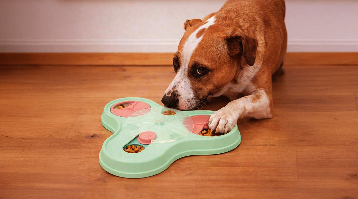 BRAIN TOYS