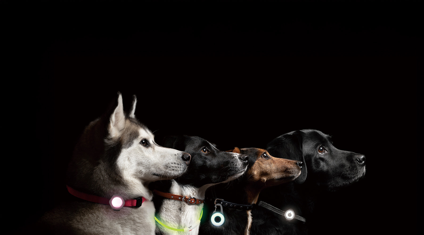 ROOP SAFE ー お散歩用ライト