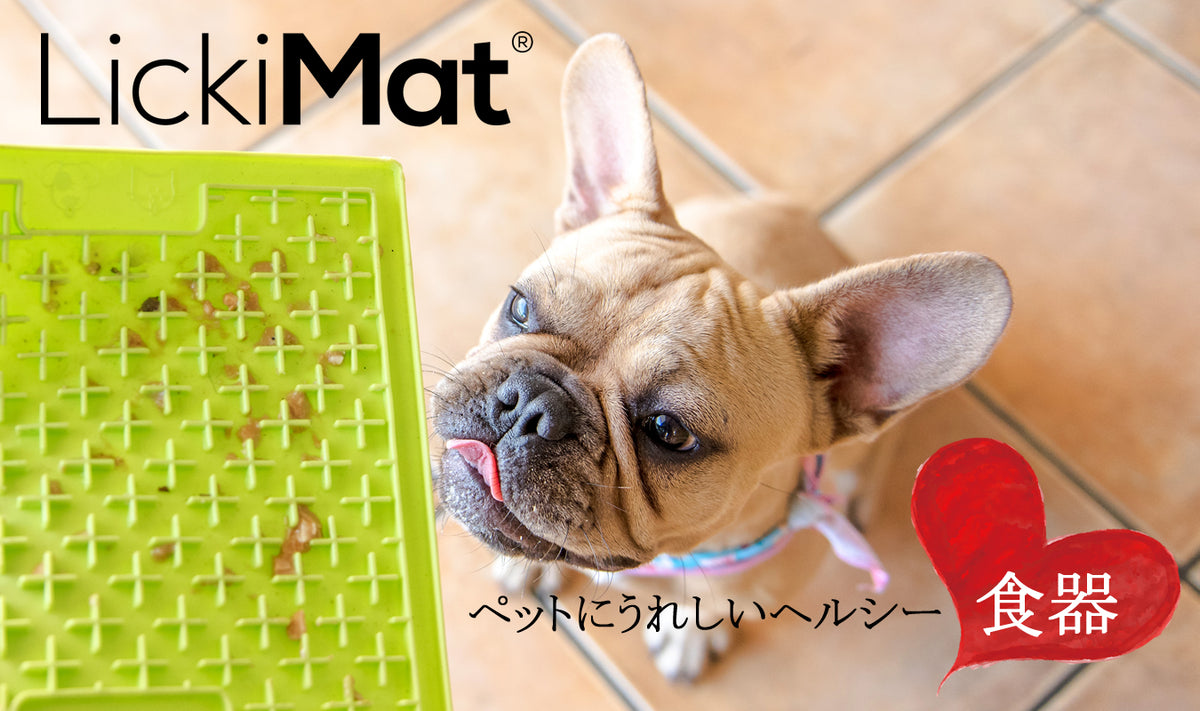 【公式サイト】早食い防止スローフィーダー「Licki Mat」（リッキーマット） — ルークランオンライン