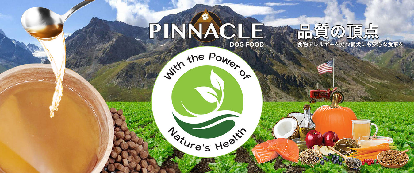 ピナクル — ルークランオンライン