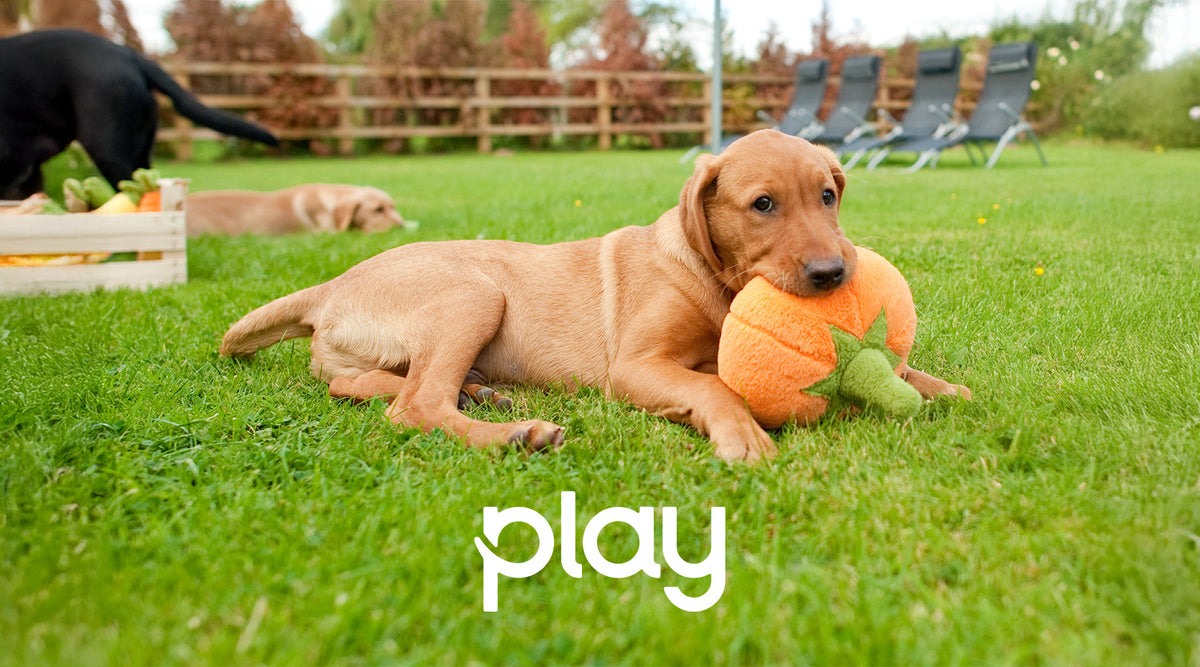 PLAY｜Autumn & Halloween Items
