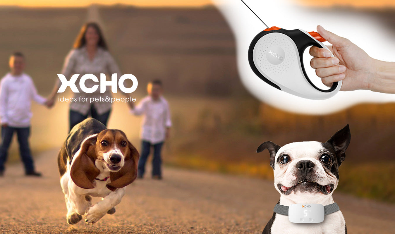 【公式サイト】スタイリッシュな伸縮リード「XCHO」（エクスコー）