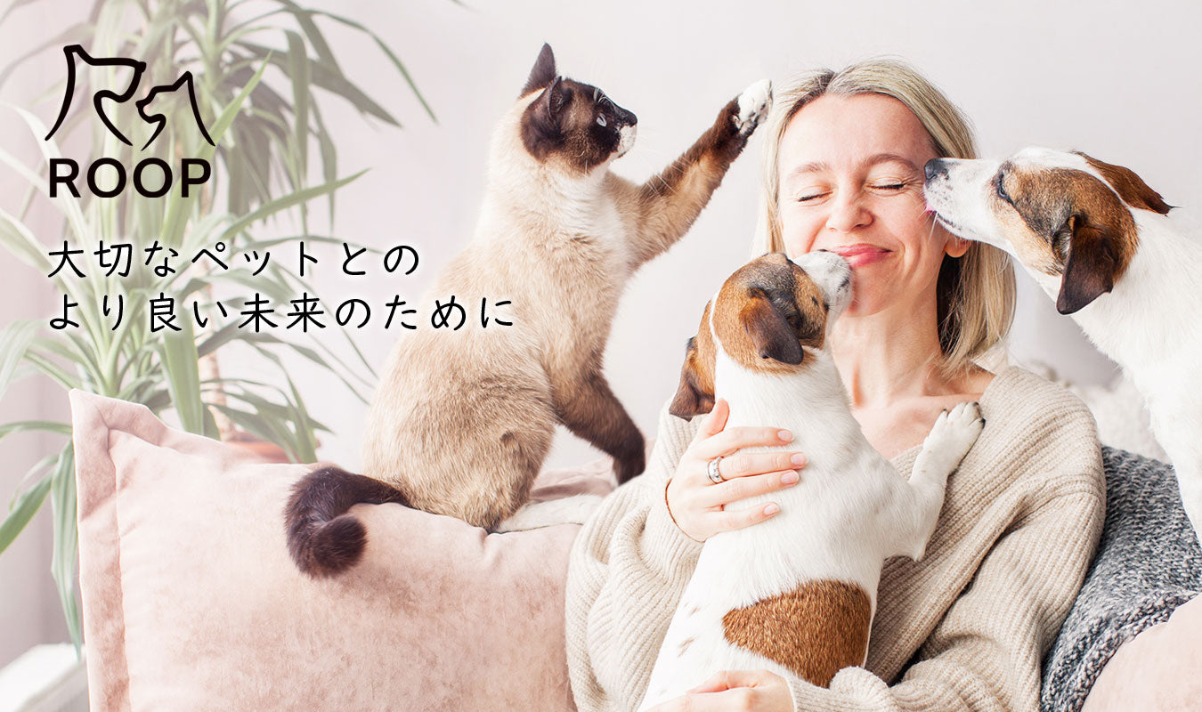 【公式サイト】バラエティー豊富な犬猫用品「ROOP」（ループ）