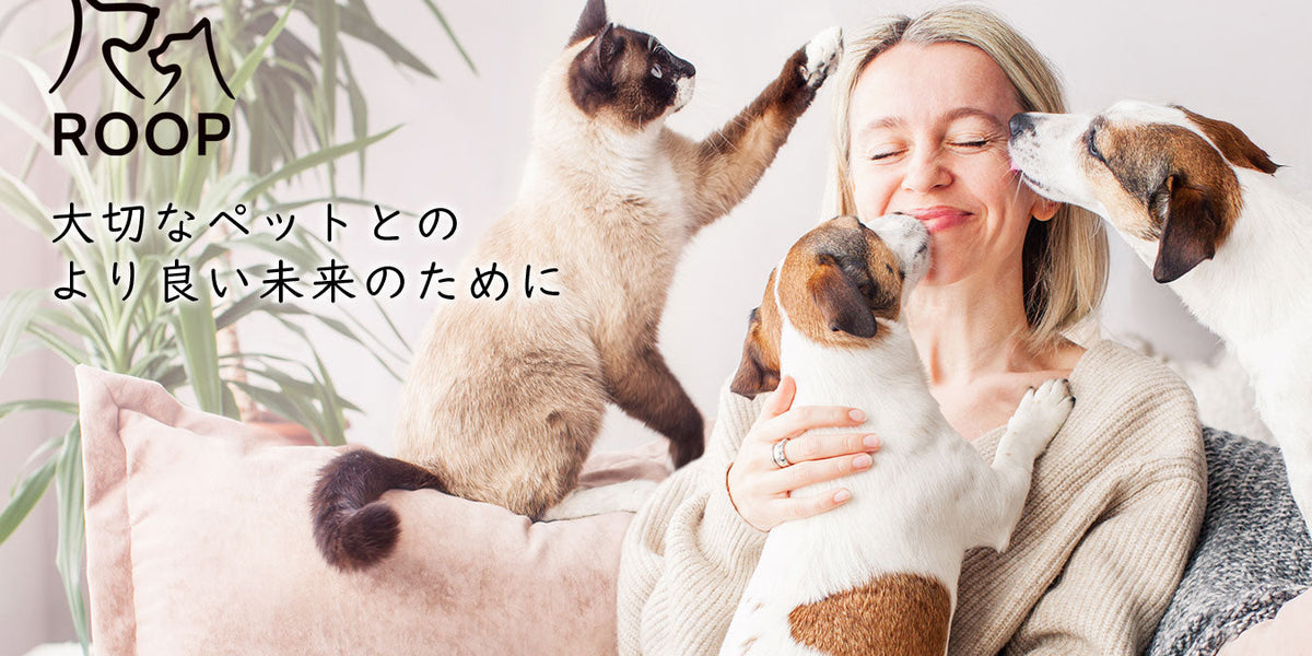 カラフルウッドブランコ♪サーカステント2 いろんなサーカステント②