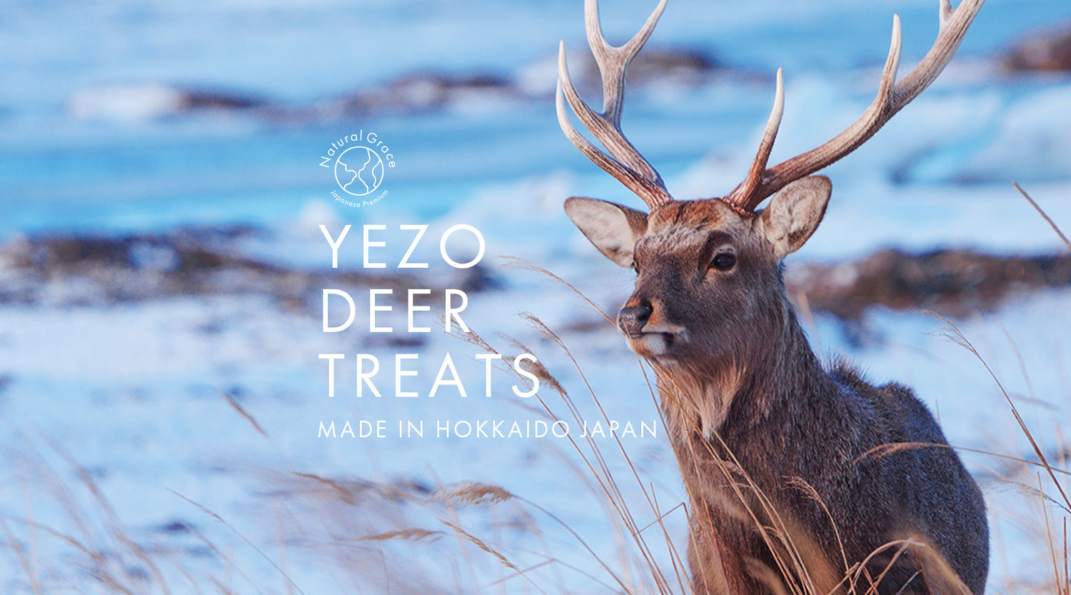【公式サイト】北海道の大自然の恵み ー エゾシカのおやつ YEZO DEER TREATS