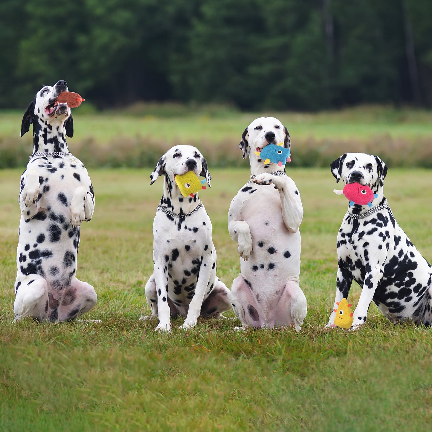 ループ　犬用おもちゃ　プーピーズ　グーグリー