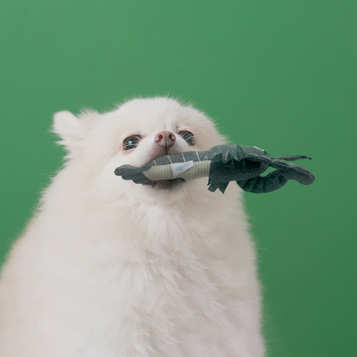 ユーゴー　犬用おもちゃ　キャンバスロブスター🦞